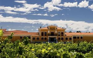 Bodegas