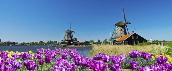 Viajes a Delft