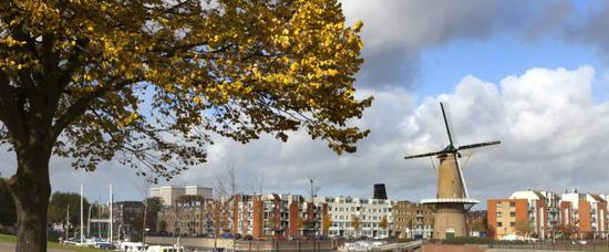 Viajes a Rotterdam