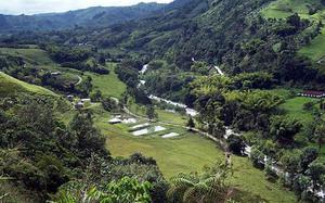 PEREIRA RISARALDA