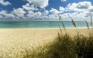 Playa de Freeport