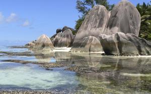 roca