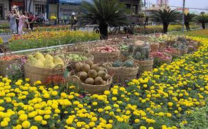 Flores