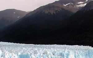 El calafate