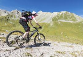 Arosa