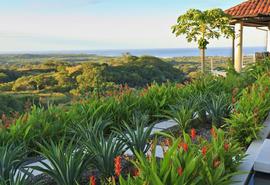 Tamarindo
