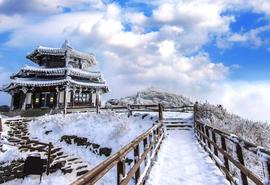 Daejeon