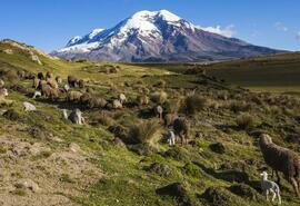 Riobamba