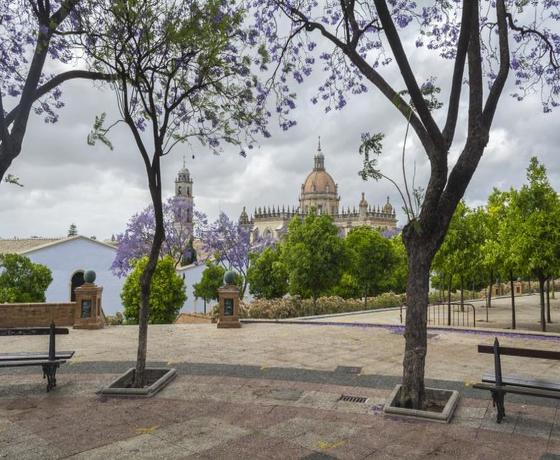 Foto destino