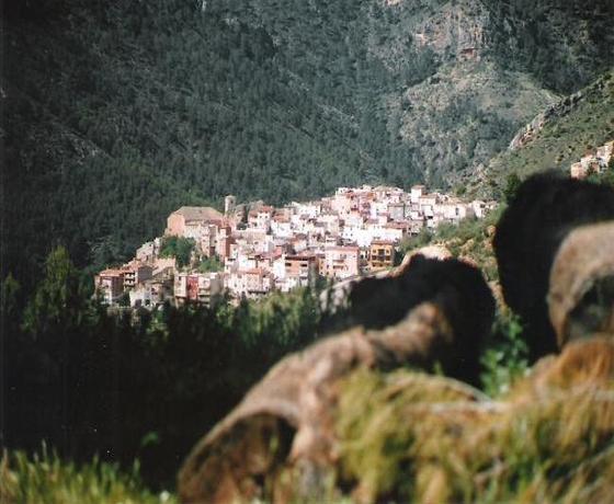 Foto destino