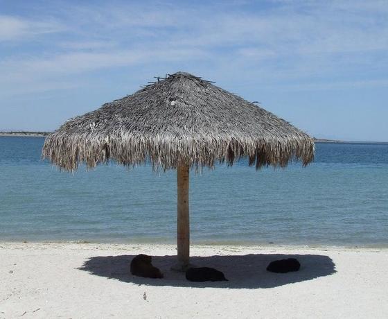 Foto destino