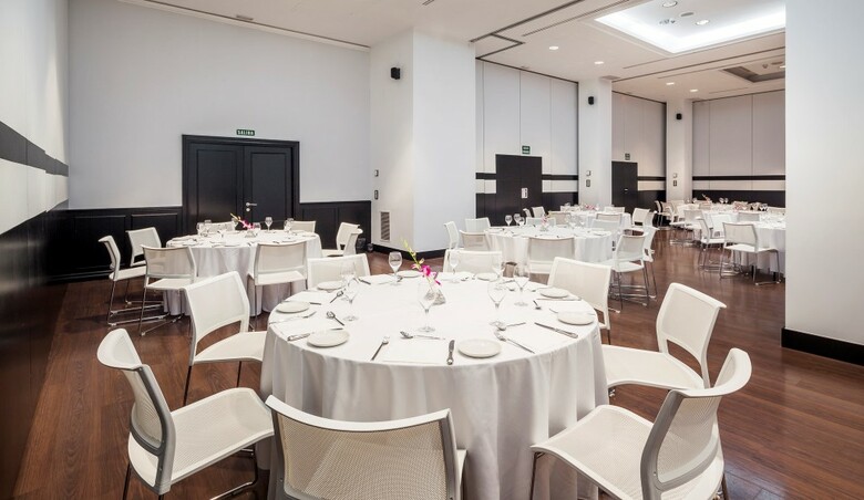 Hotel Ilunion Suites Madrid