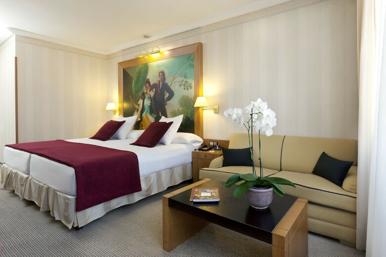 Hotel Princesa Plaza Madrid