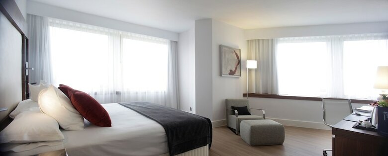 Hotel Princesa Plaza Madrid