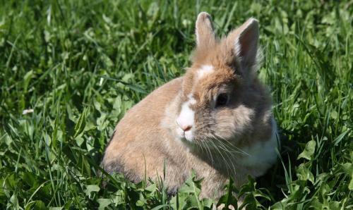 Apartamento S'landhaus