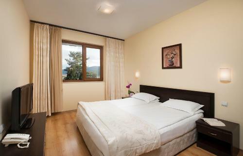 Spa Club Bor Hotel