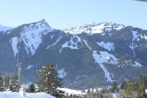Alpenapart Singer