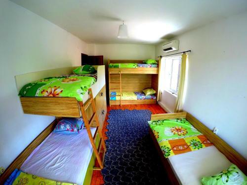 Funky Monkey Hostel