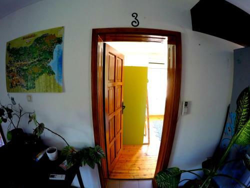 Funky Monkey Hostel