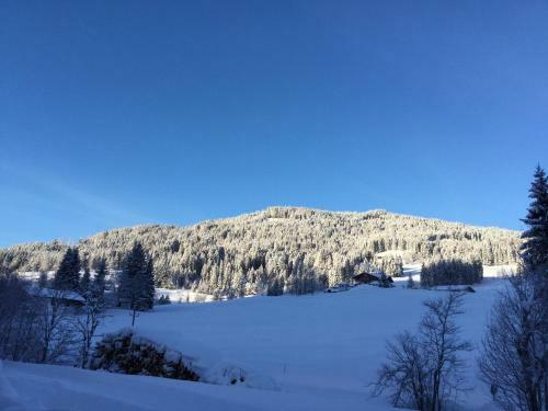 Apartamento Ferienwohnungen Vierthaler
