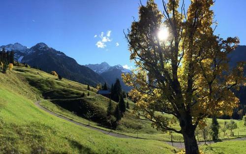 Hostal Haus Alpenecho