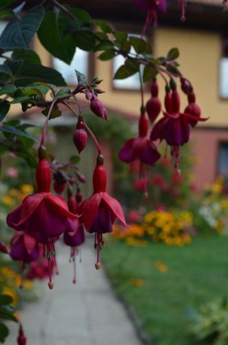 Hostal Zlatniyat Telets Guest Rooms