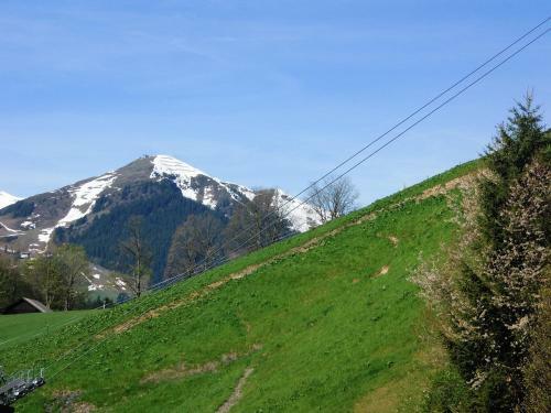 Apartamento Haus Bergheim