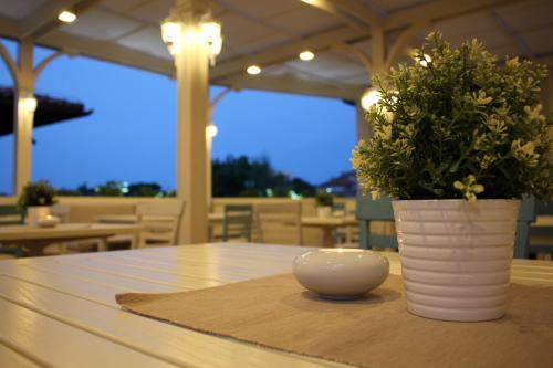 Hotel Nove