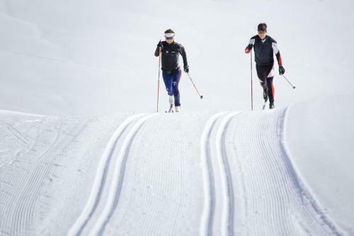 Apart Alpen