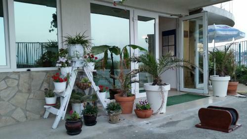 Hotel Lozite