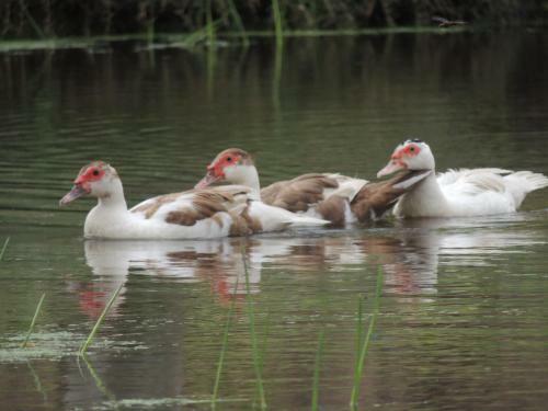Bed & Breakfast Tocas Do Lago