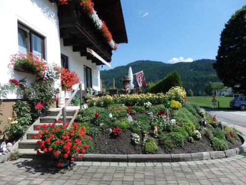 Haus Ratgeb