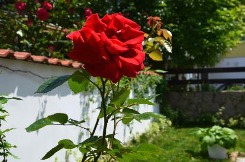 Hostal Kani Studios