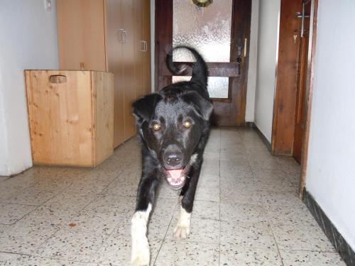 Apartamento Areithof