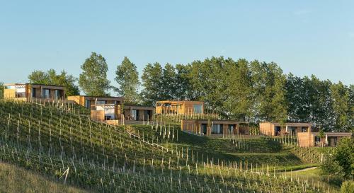 Weingarten-resort Unterlamm Loipersdorf