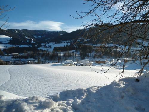 Apartamento Ferienwohnung Brandtner Leogang