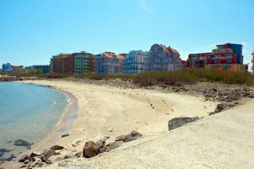 Apartments Alerina
