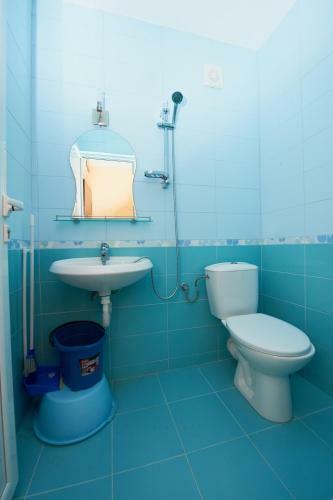 Apartments Alerina
