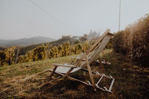 Apartamento Winzerhaus Am Gamlitzberg