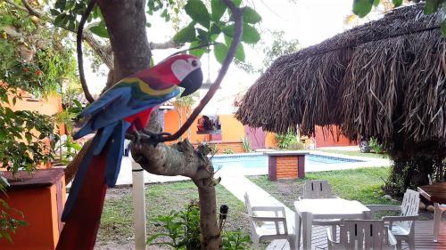 Posada Pousada Bella Vida Geriba