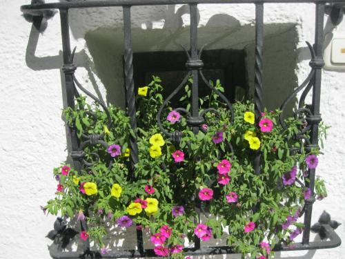 Hostal Pension Haus Koller
