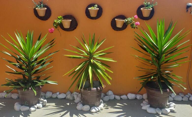 Apartamento Residencial Maria Antonia