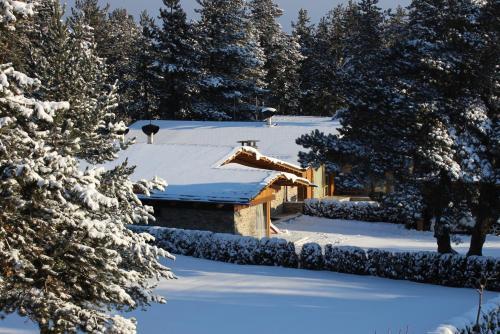 Villa Alisa Bansko