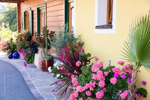 Apartamento Weingut- G�stezimmer Marko