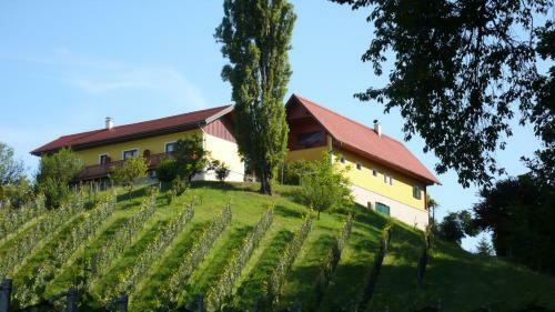 Apartamento Weingut- G�stezimmer Marko