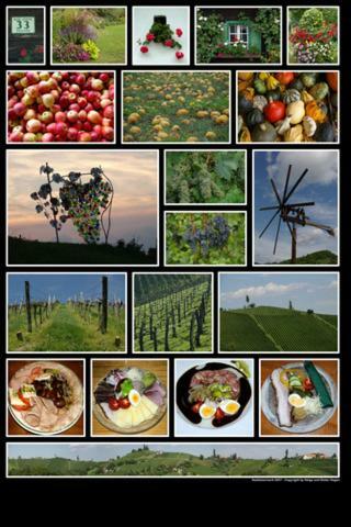 Apartamento Weingut- G�stezimmer Marko