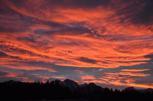 Bed & Breakfast Pension Zum Schreiner