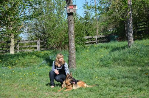 Bed & Breakfast Pension Zum Schreiner