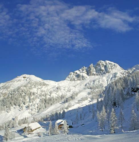 Bed & Breakfast Pension Zum Schreiner