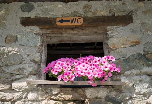 Agroturismo Scheibenhof